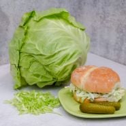 Golden Acre Cabbage head with shreds and sandwich