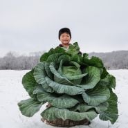 Cyan poses with a giant Sapporo Giant #4 Cabbage in the snow.