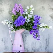 Canterbury Bell bouquet in pink watering can.