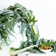 Gobbo Di Nizzia Cardoon in a glass vase surrounded by cooked and fresh cardoon on a white background.