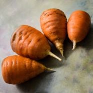 Four Oxheart Carrots in a row on pastel background.