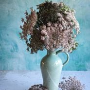 Bouquet Dara Flowering Carrot