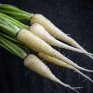 Kuttiger Carrots on black background