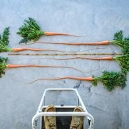Manpukuji Carrots from up high