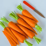 New Kuroda Carrots in a row with an orange handled knife on a white background.