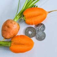 Parisienne Carrots with coins for size reference