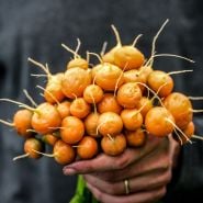 Large bunch Parisienne Carrots