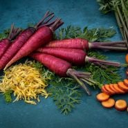 Purple Dragon Carrots with slices and shreds on a blue background.