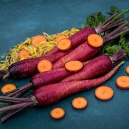 Sliced and whole Purple Dragon Carrots on a blue background.