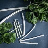 Chinese White Celery individual stalks on blue background.