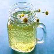 A glass of German Chamomile tea with blooms as a garnish on a light blue background.