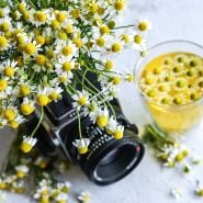 German Chamomile flowers arranged in a Hasselblad camera with tea.