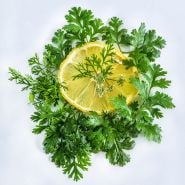 Dwarf Lemon Cilantro surrounding a lemon slice on white background.