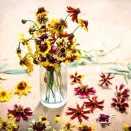 A small glass bottle full of Incredible Dwarf Mix Coreopsis flowers on a wooden background.