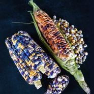 Astronomy Domine Corn on cobs with kernels on a dark background.