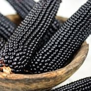 A close-up of Dakota Black Popcorn cobs in a wooden bowl.