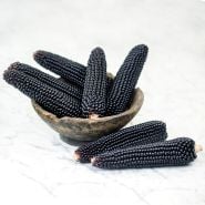 Dakota Black Popcorn cobs in a wooden bowl on a white marble counter top.
