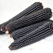 Dakota Black Popcorn cobs in a pile on white marble table.