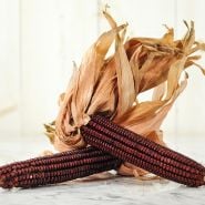 Bloody Butcher Dent Corn on marbled countertop.