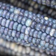 Hopi Turquoise Close-up