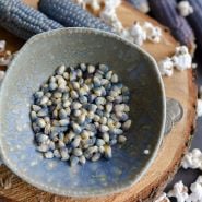 Mini Blue Popcorn kernels.