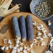 Mini Blue Popcorn cobs with popped corn on wooden round.