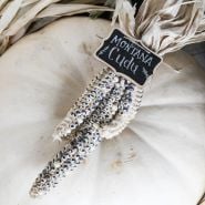 Montana Cudu Corn bundle on white pumpkin.