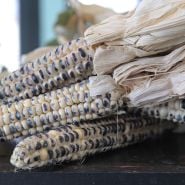 Montana Cudu Corn stack with dried husk.