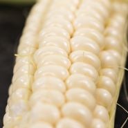 Close-up Art Verrell's Corn.