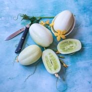 Dragon's Egg Cucumber on blue background.
