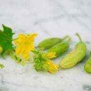 Parisian Pickling cucumbers with blossom on marble countertop.