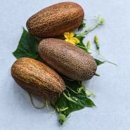 Sikkim Cucumbers on a light blue background with foliage and a bloom.