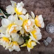 An overhead view of Sweet Ocean Daffodils on a wooden background with coins.