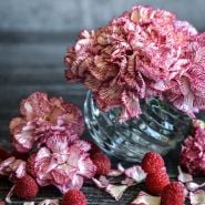 An arrangement of Raspberry Ripple Dianthus surrounded by red raspberries and petals.