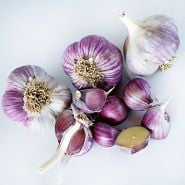 Bulbs and cloves of Music Garlic arranged on light background.