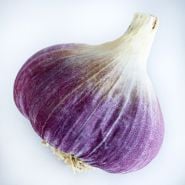 A single bulbs of Music Garlic on light background.