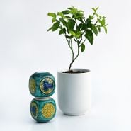 A Top Hat Blueberry Plant with cermic knick knacks on a white background.