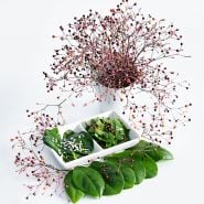 Jewels of Opar leaves cooked and made into a fresh salad with berries in vase.