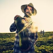 Man holding a freshly harvested Giant Bullet Head Wax Melon at the Baker Creek Seeds trial farm in California.