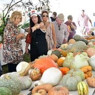 Peole checking gout all the squash at the Baker Creek Fall Harvest Festival.