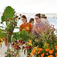 Crowd looking at the flowers in the exhibition tent at the Baker Creek Fall Harvest Festival.
