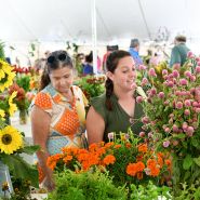 Smiling women admiring flowers at the Baker Creek Fall Harvest Festival.