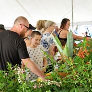 A crowd admires the flowers at the Baker Creek Fall Harvest Festival.