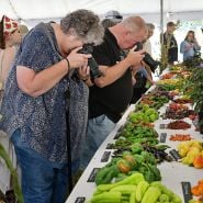 A couple of photographers shoot some peppers at the Baker Creek Fall Harvest Festival.