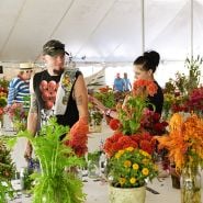 People prusing the displays in the exhibition tent at the Baker Creek Fall Harvest Festival.