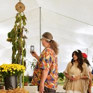 A man photographs a tall sunflower exhibit at the Baker Creek Fall Harvest Festival.