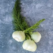 Three Florence Fennel bulbs on a blue background.