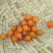 Otricoli Orange Berry fruit in wicker bowl.