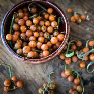 Otricoli Orange Berry fruit in bowl and spread out on wooden tabletop.