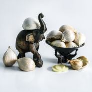 A wooden elephant and bowl surrounded by large Elephant Garlic cloves on a light background.